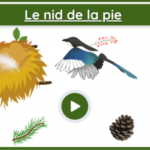 Le nid de la pie - jeu numérique interactif
