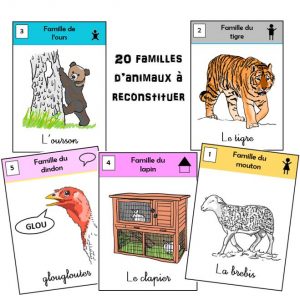 Jeu des familles d'animaux