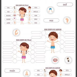 ATELIER DE MANIPULATION – LES PARTIES DU CORPS HUMAIN