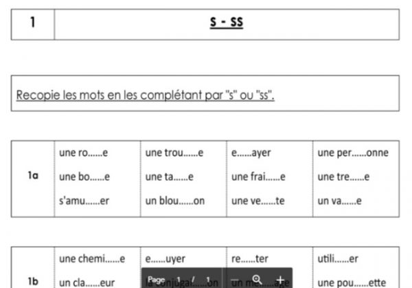 Orthographe - leçon + exercices s/ss - CE1, CE2, CM1, CM2 - La Salle