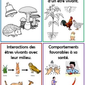 Questionner le monde du vivant au cycle 2