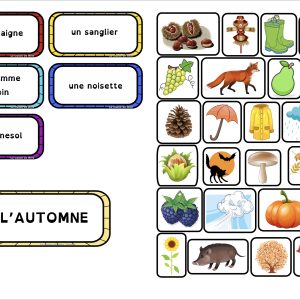 Mur de mots + exercices de vocabulaire AUTOMNE