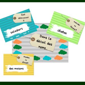 Dans le détail des noms (cycle 2)