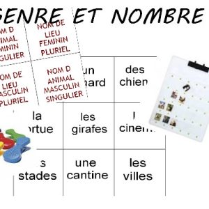 Genre et nombre des noms