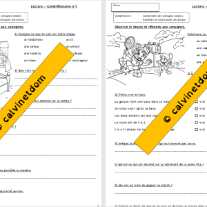 Fiches de lecture compréhension cycle 2 (CP-CE1)