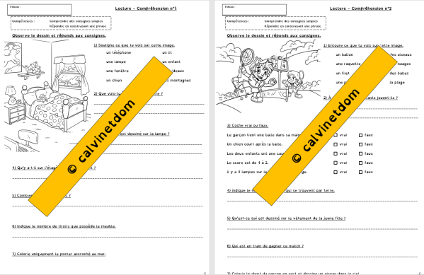 Fiches de lecture compréhension cycle 2 (CP-CE1) - Etude de la Langue