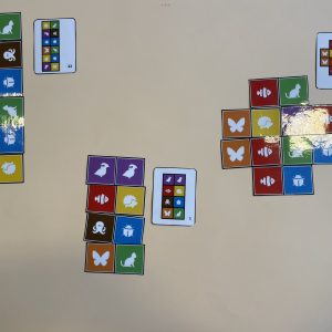 Stranimaux : jeu mathématique