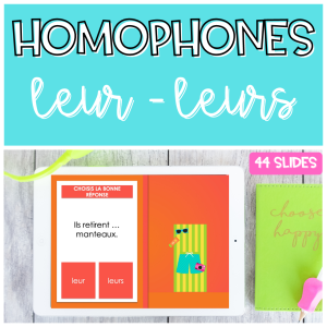 Homophones Homonymes LEUR LEURS