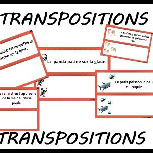 Transpositions... Transpositions CE1 CE2