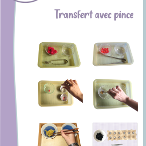 Vie Pratique Montessori : Transfert avec pince