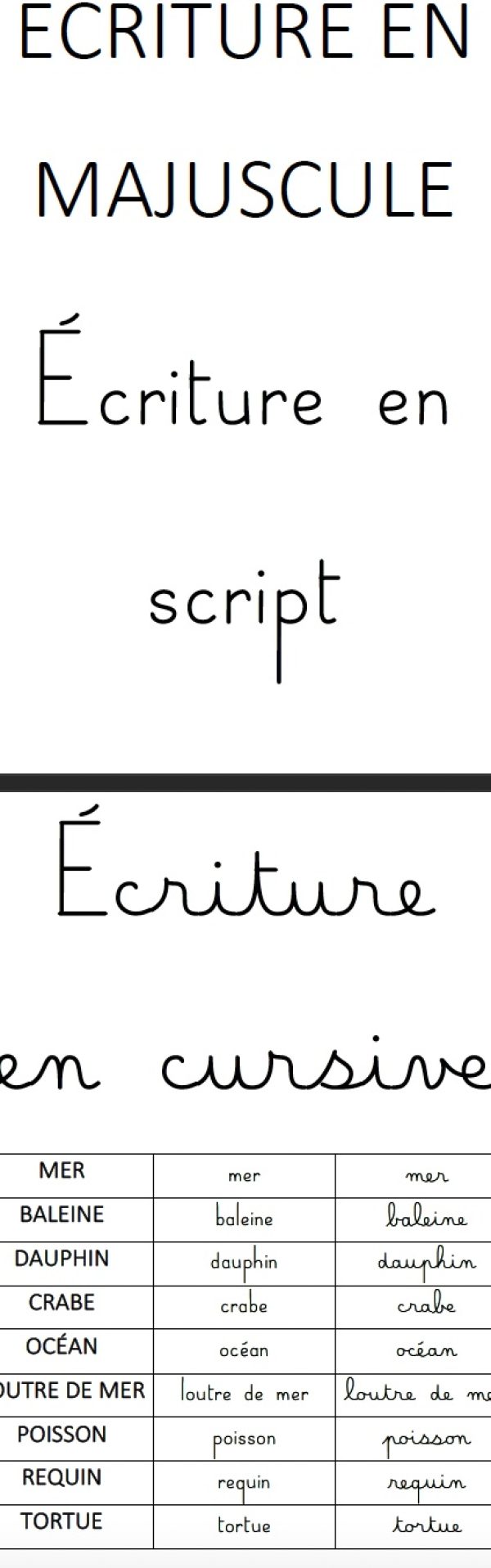 Atelier - Différenciation des 3 écritures - Thème mer/animaux marins ...