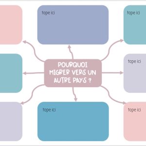 GOOGLE SLIDES Immigration | Papier & Numérique