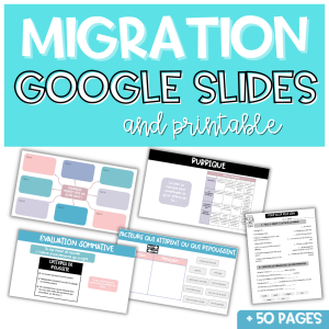 GOOGLE SLIDES Immigration | Papier & Numérique