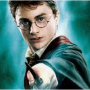 Théâtre : Harry Potter, la coupe des maisons a disparu