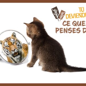 Affiche confiance en soi