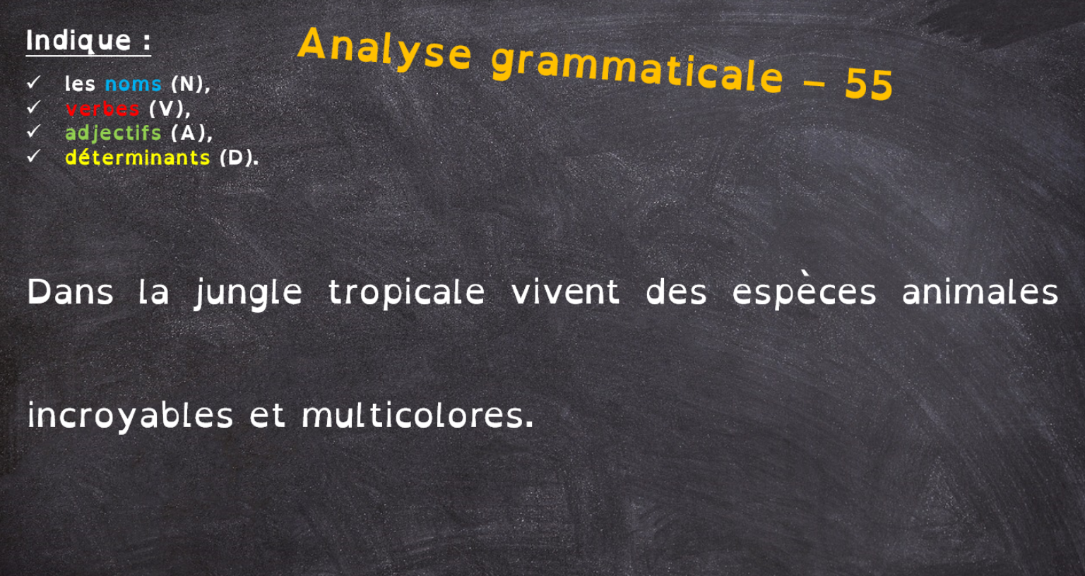 Rituel CE1/CE2 - Analyse de phrase - Etude de la Langue CE1, CE2, CM1