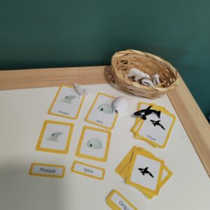 carte de nomenclature : les animaux de l&rsquo;Arctique