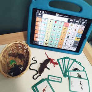 Cartes de nomenclature Les animaux de la rivière