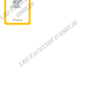 carte de nomenclature : les animaux de l&rsquo;Arctique