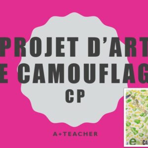 PROJET D ART : LE CAMOUFLAGE CP