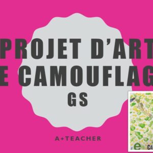 PROJET D ART : LE CAMOUFLAGE GS