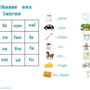La chasse aux intrus