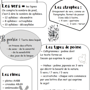 Livret de littérature poétique : le chat qui parlait malgré lui - Claude Roy