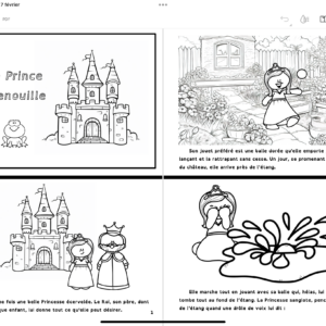 Histoire du Prince Grenouille, vocabulaire, compréhension